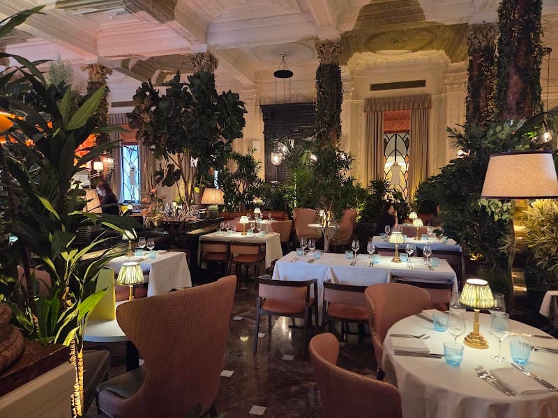 Idalia restaurant in Olympia, London