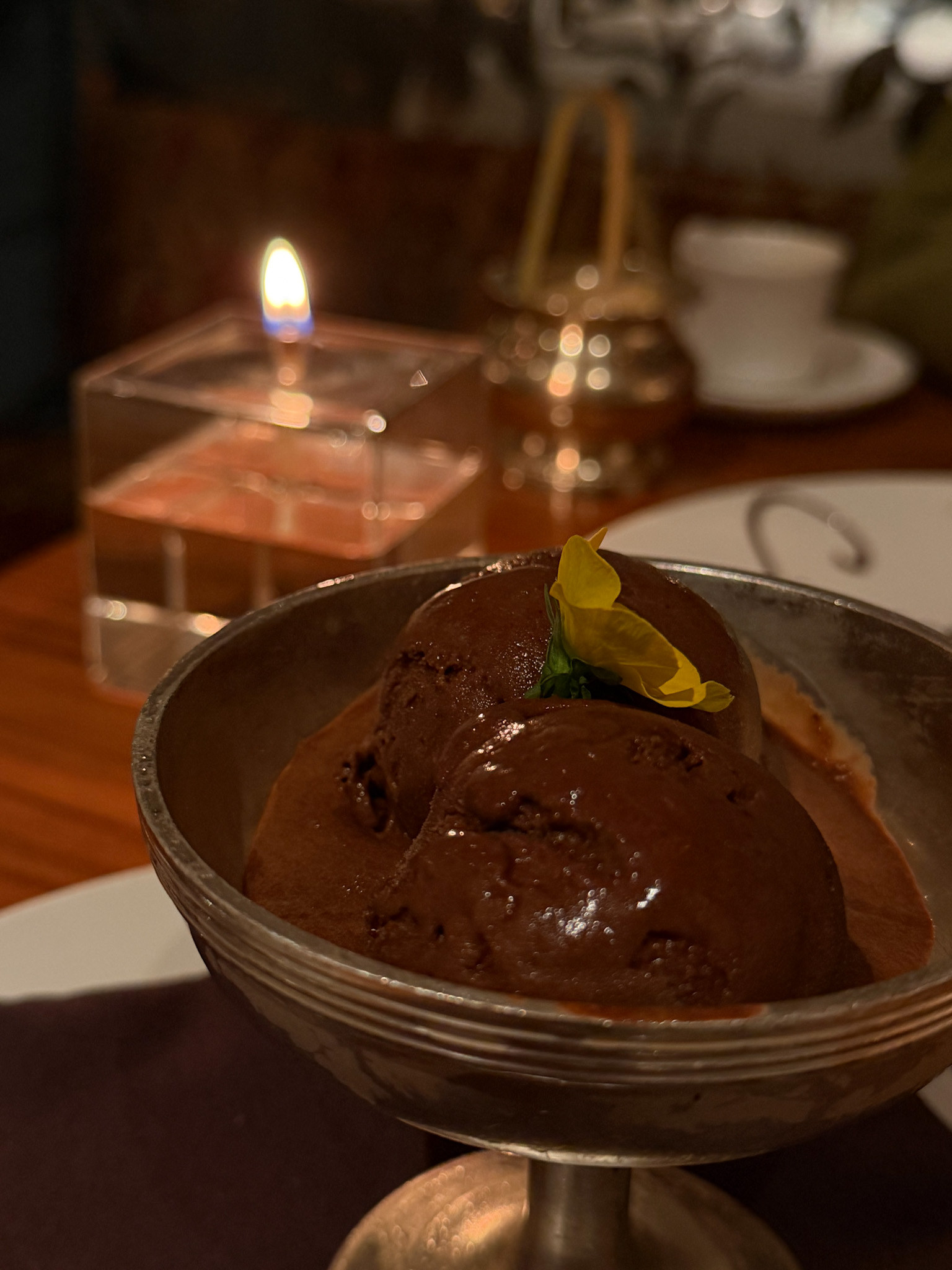 Dark chocolate sorbet in a footed silver coupe topped with a single yellow flower