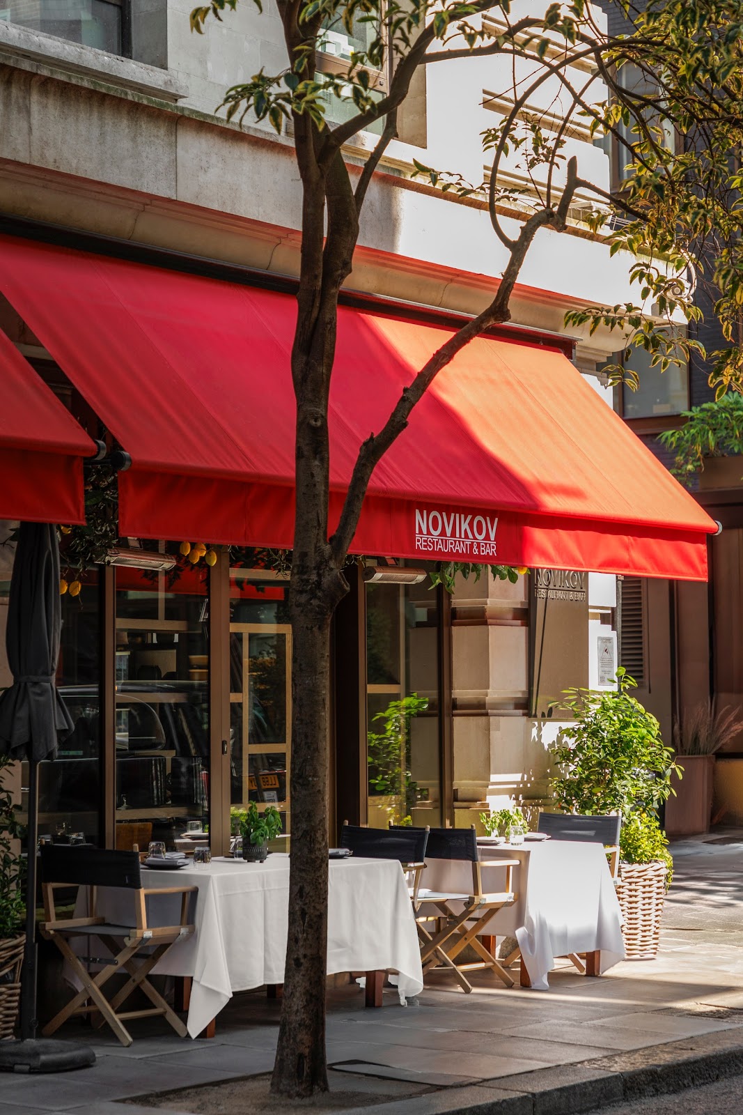 Novikov, photo 1